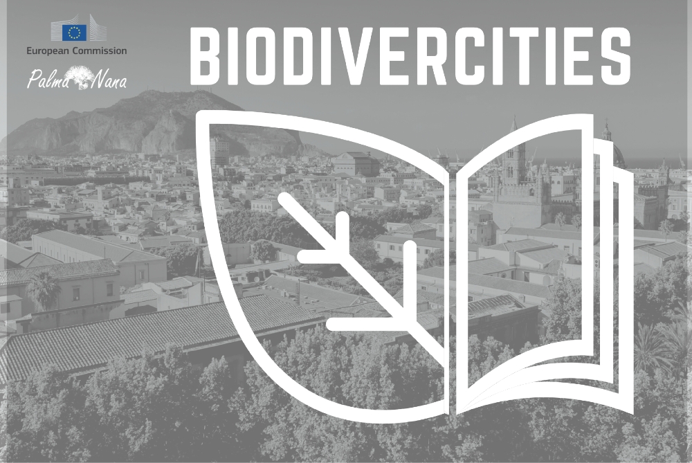 BiodiverCities